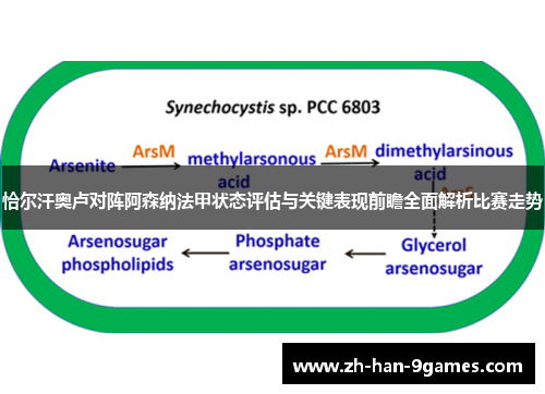 恰尔汗奥卢对阵阿森纳法甲状态评估与关键表现前瞻全面解析比赛走势
