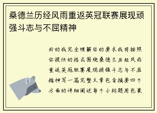 桑德兰历经风雨重返英冠联赛展现顽强斗志与不屈精神 桑德兰历经风雨重返英冠联赛展现顽强斗志与不屈精神